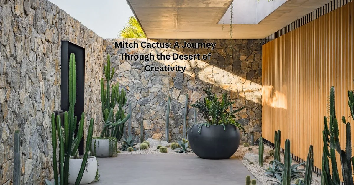 Mitch Cactus